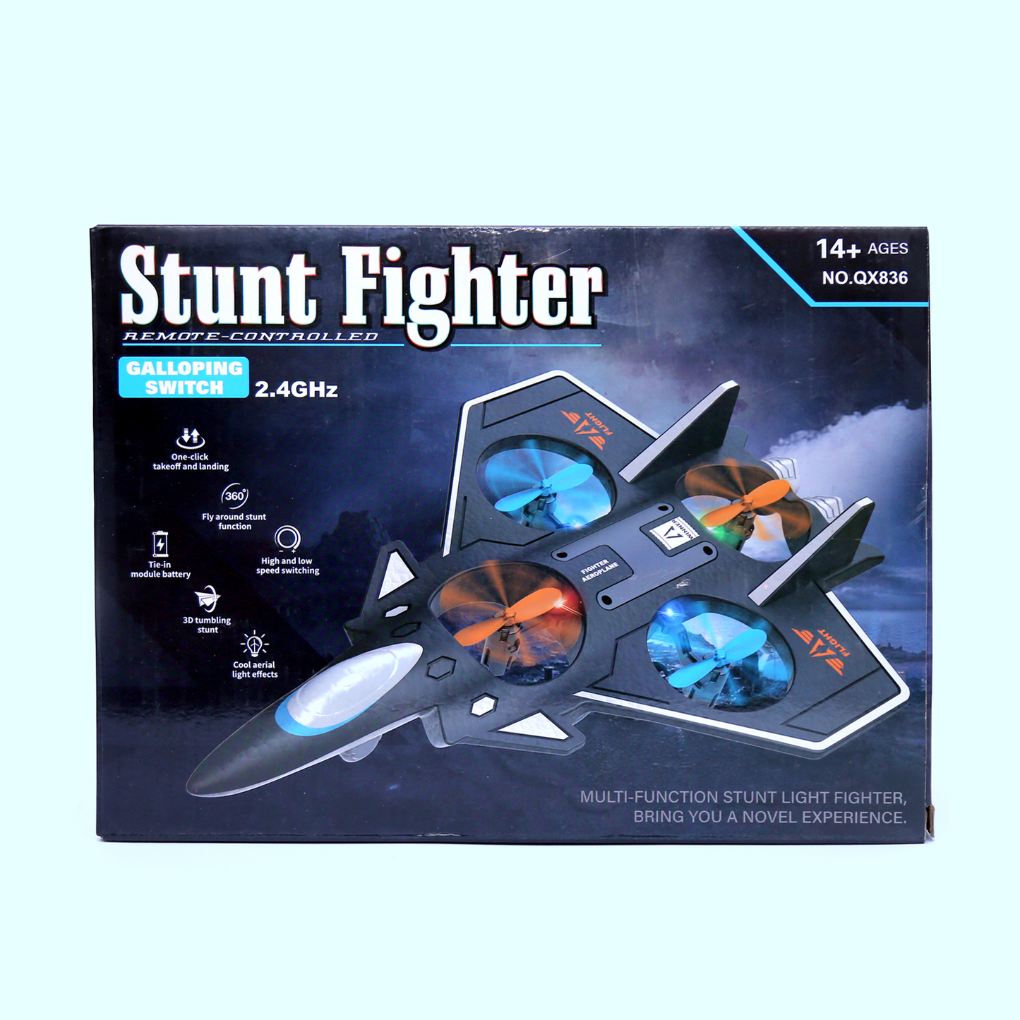 Stunt Fighter